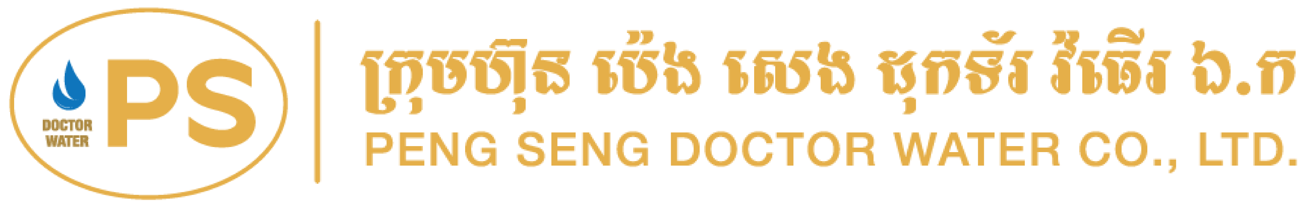 PS logo